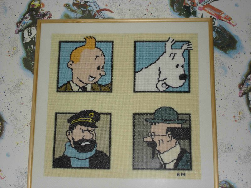Point de croix tintin