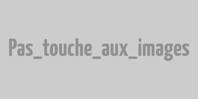 Ou acheter une surjeteuse