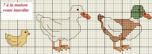 Point de croix canard