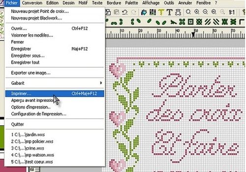 Logiciel point de croix deluxe