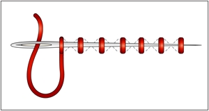 Apprendre le canevas point de croix